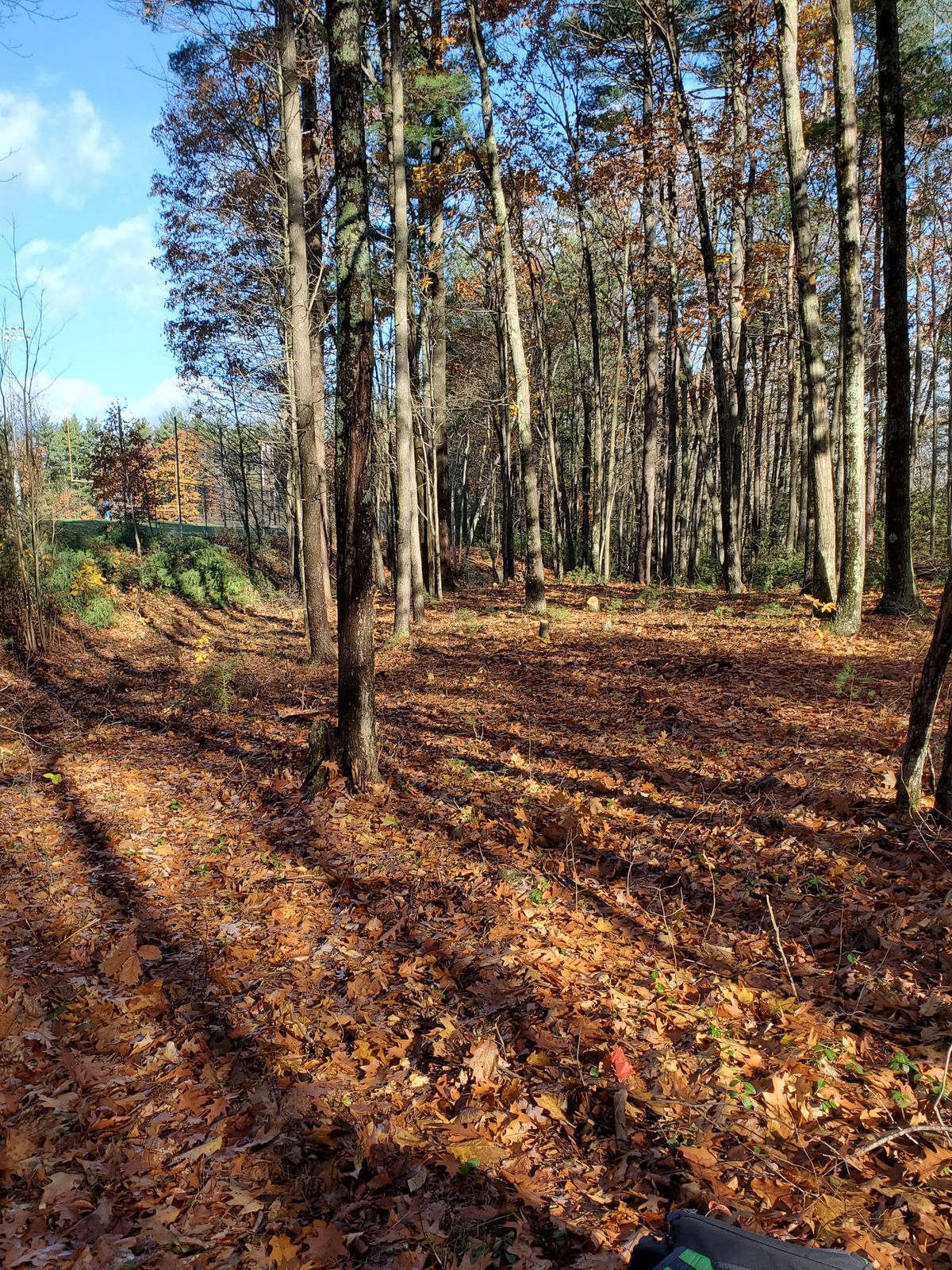 Hole 9
