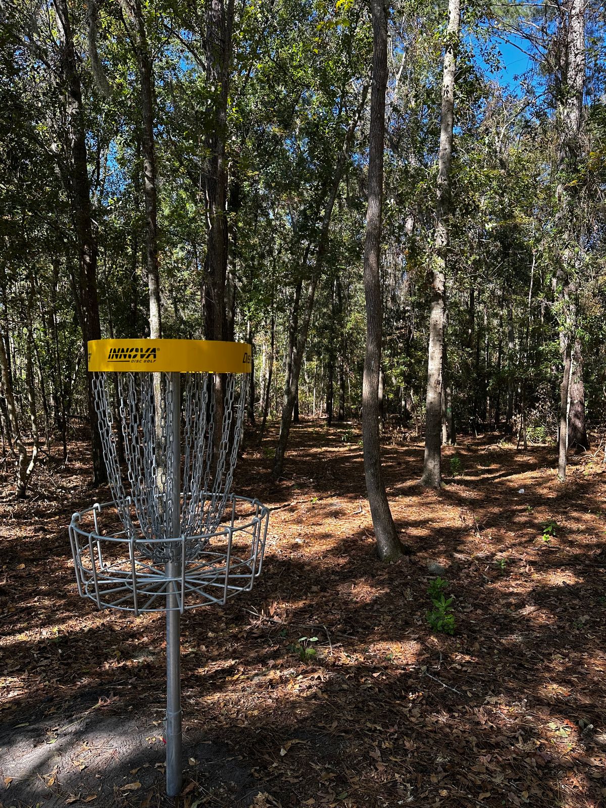 Hole 8