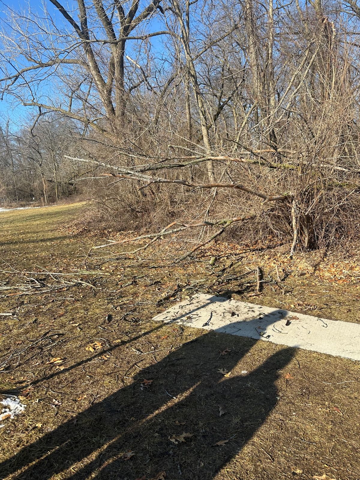 Hole 2   3-8-25