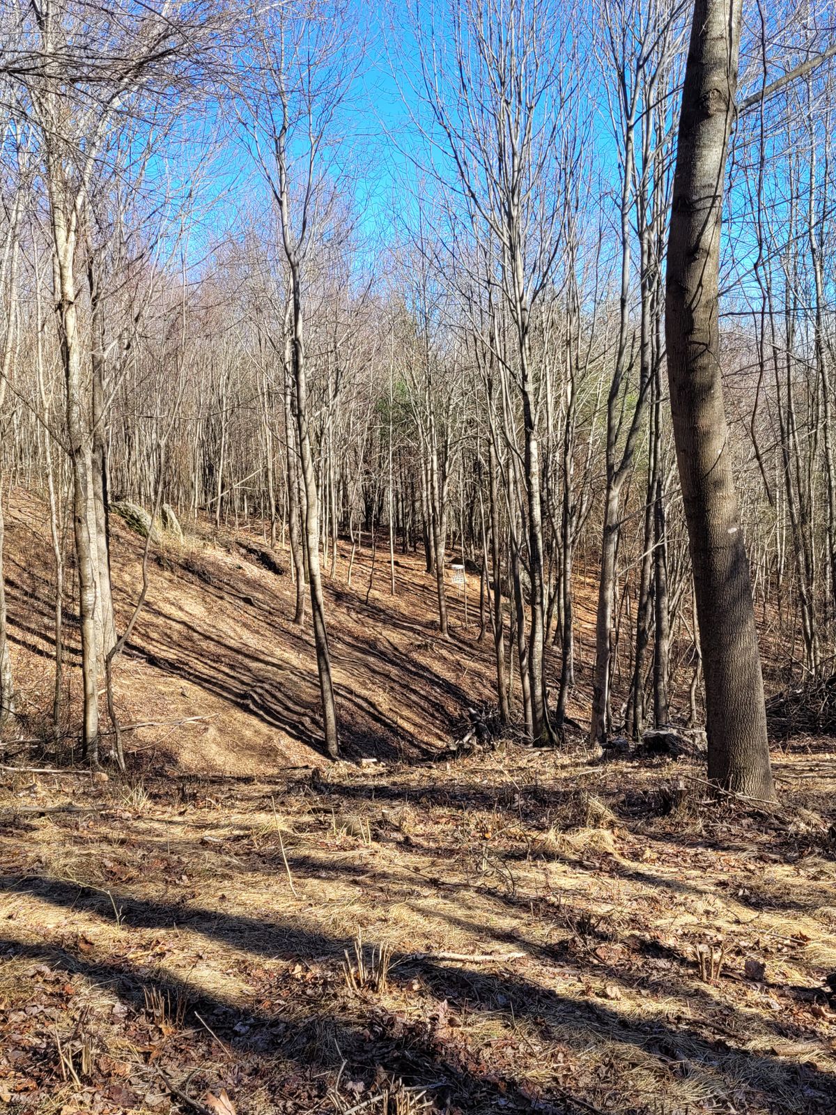 Hole #3 from pad