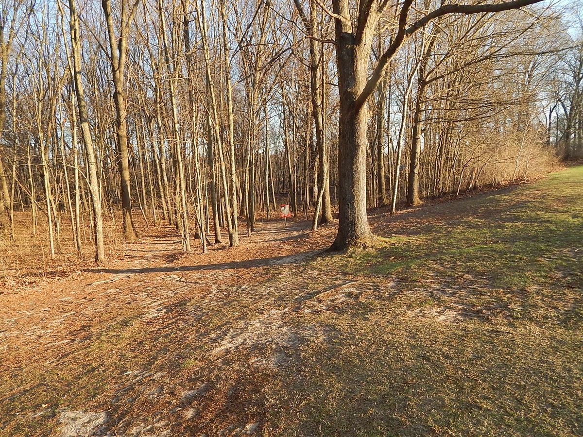 Hole 5 basket