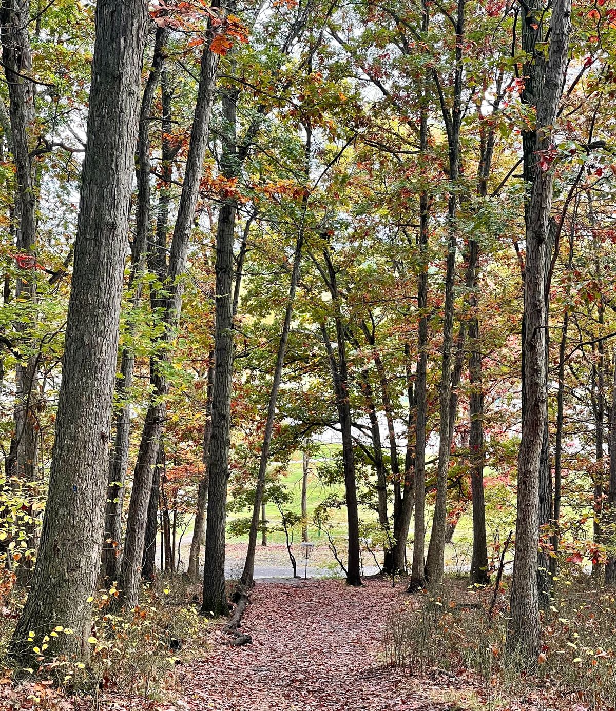 #16. Short but difficult par 3.  Narrow and downhill so you better have your distance controlled.