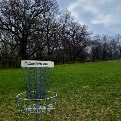 Hole 18 Short Basket to Fairway