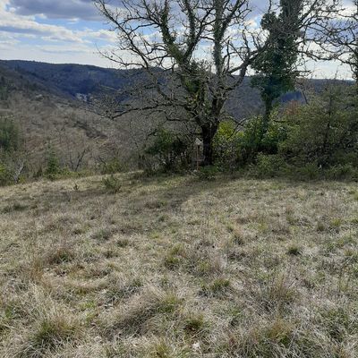 Beau paysage et les corbeilles se cachent dans la nature
