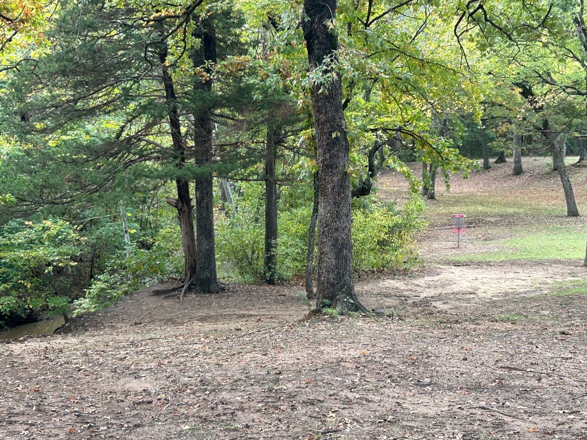 Hole 6 basket