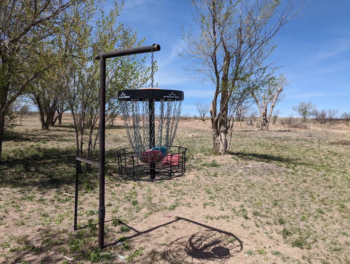 Hanging basket at hole 1.