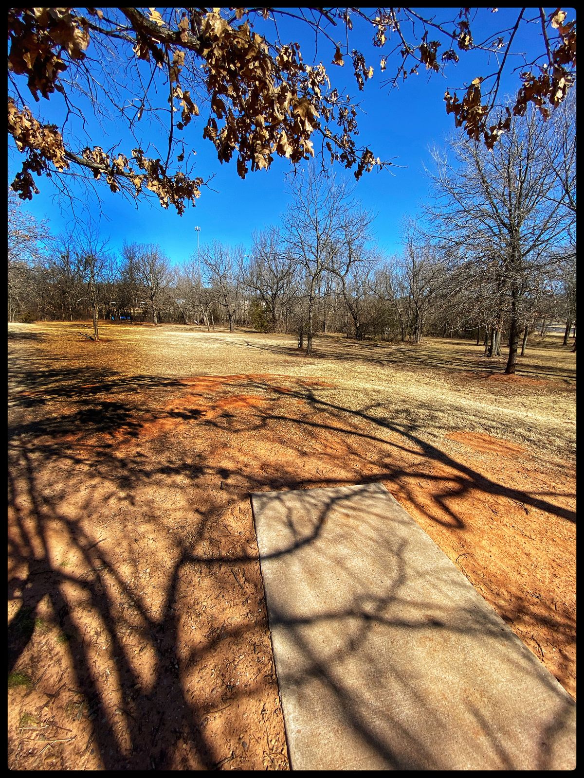 #7 Tee throwing north