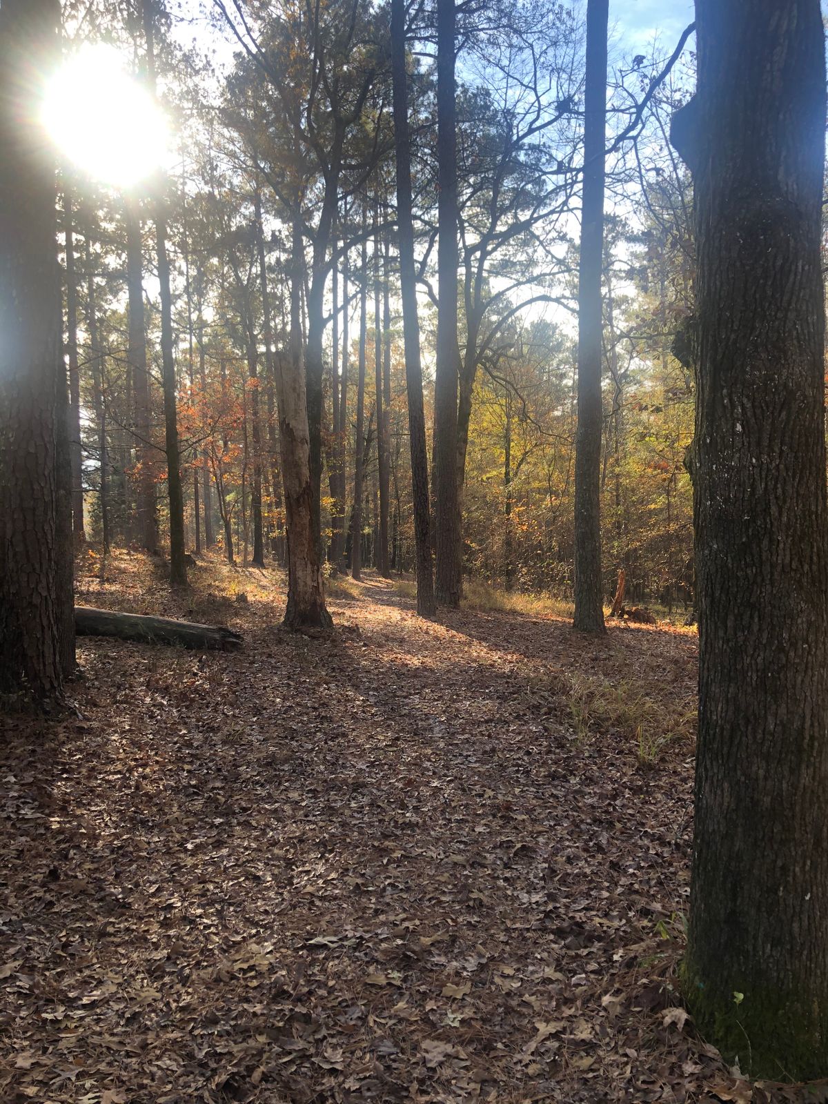 Hole 6