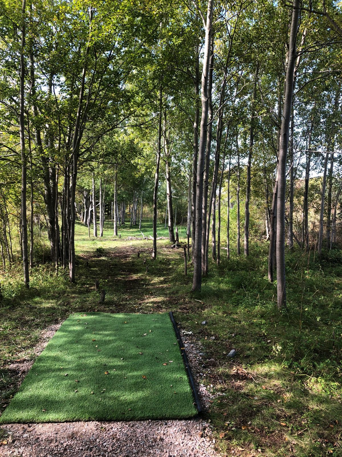 Tee pad hole 11 Oct 7 21