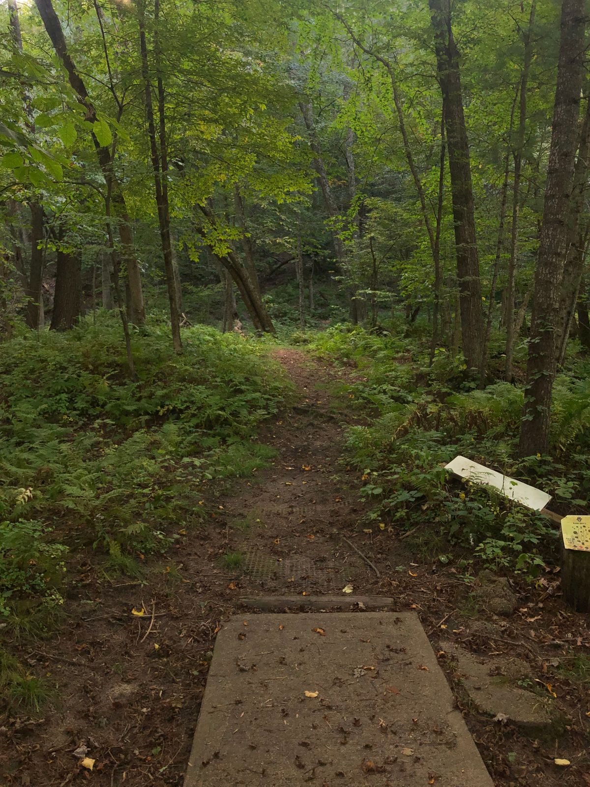 Hole 8 Tee