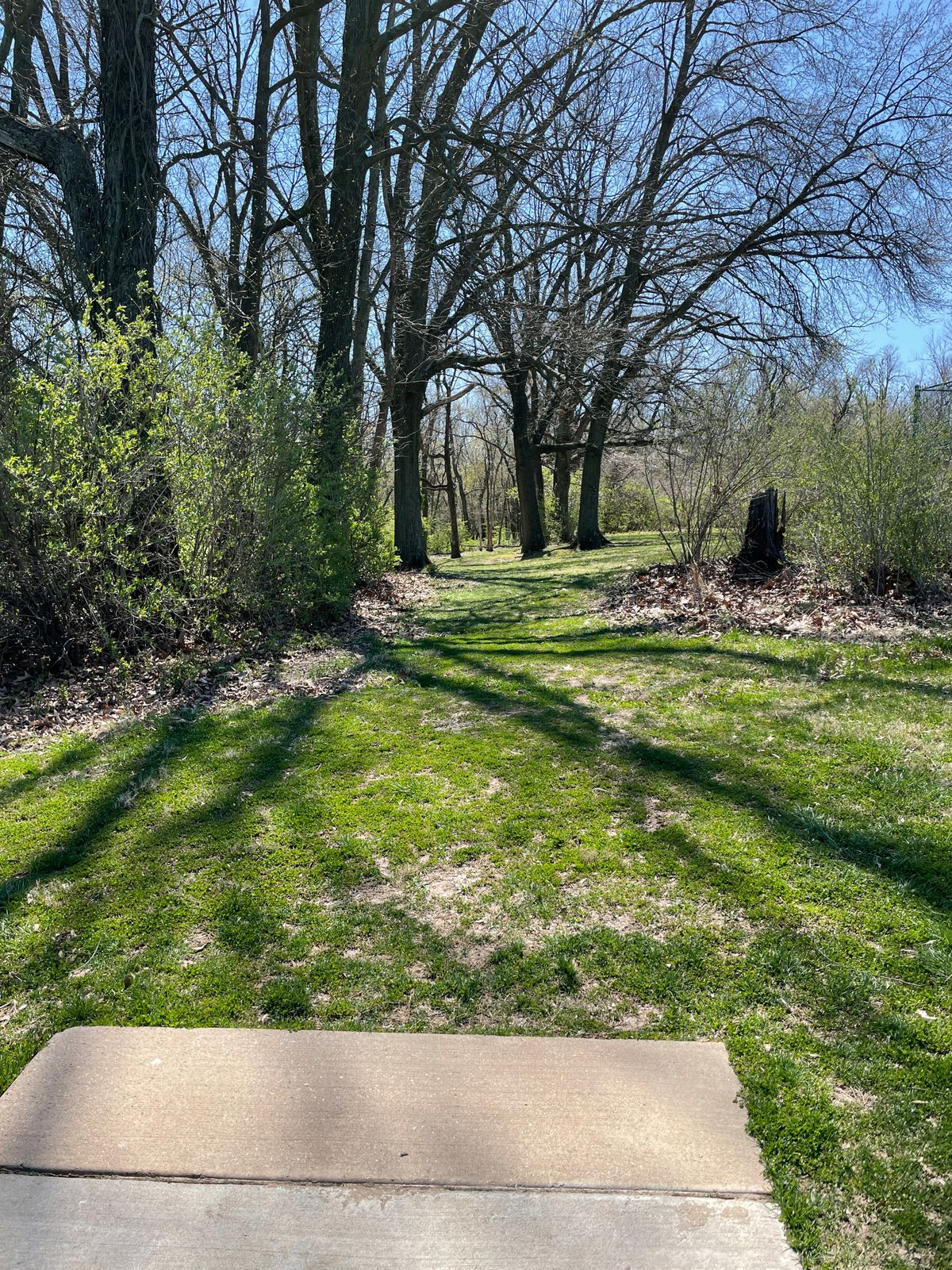 Hole 7, basket straight ahead