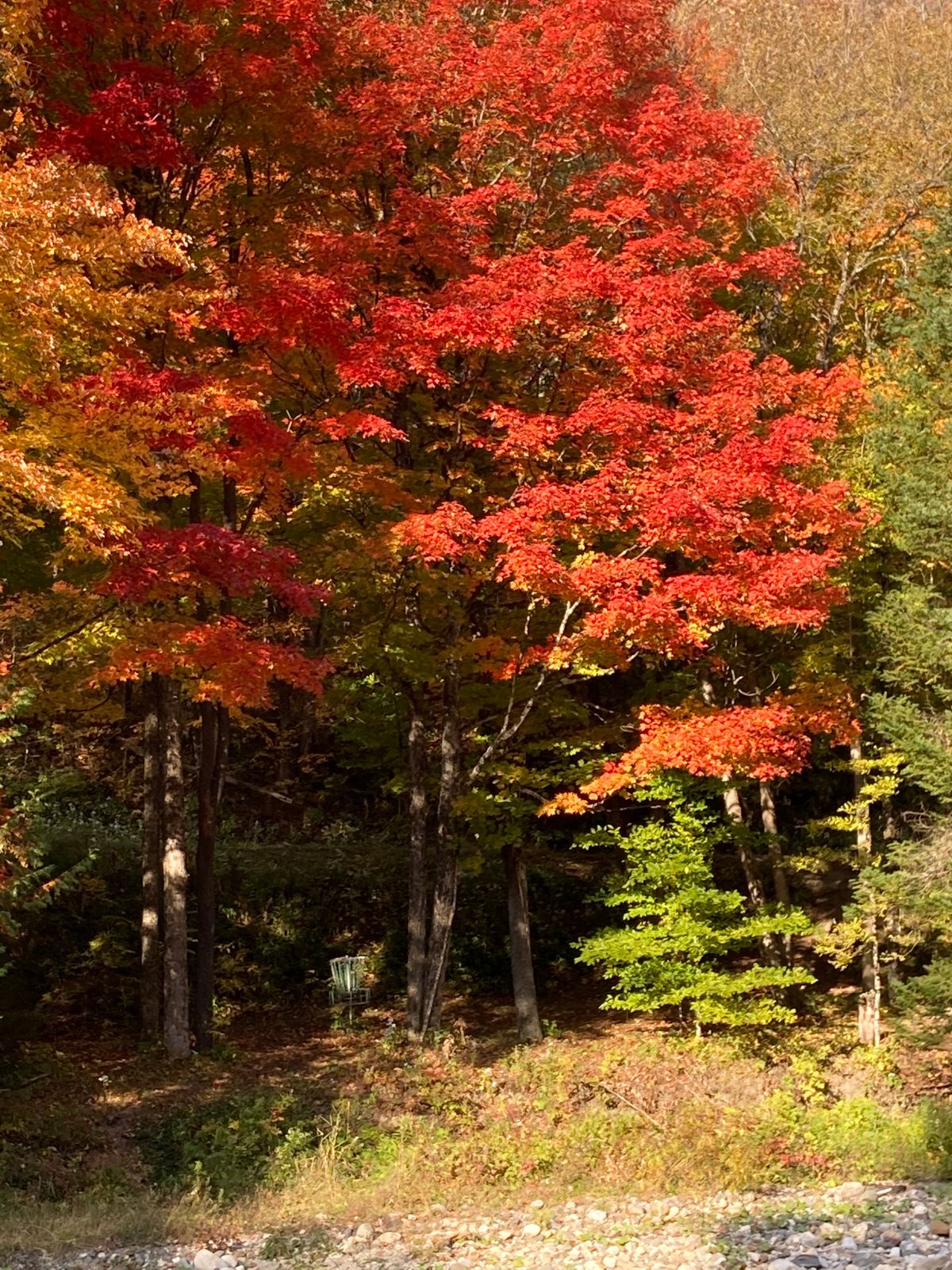 Hole 17 Low Water in Autumn
