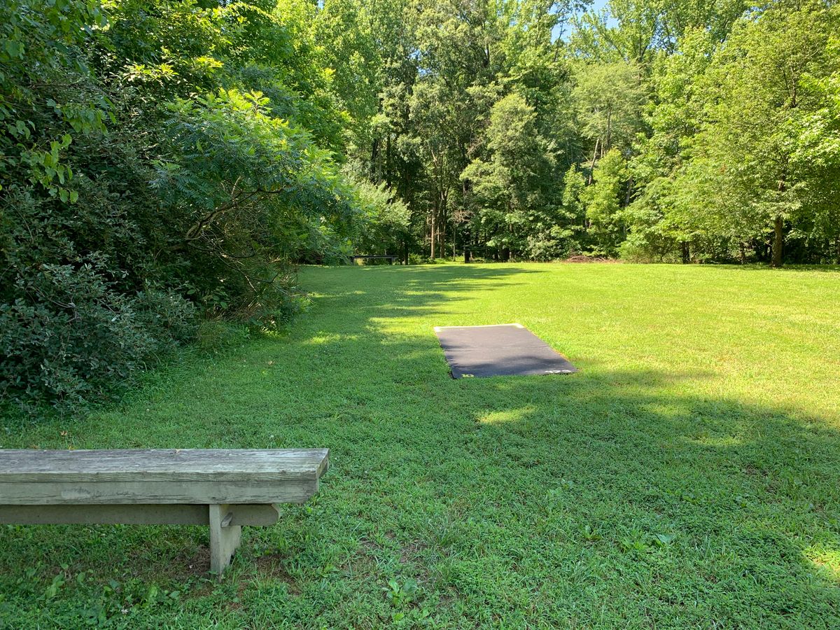 Gold 10 tee, par 4 - over the river (Beaver Branch) and through the woods to an elevated basket.