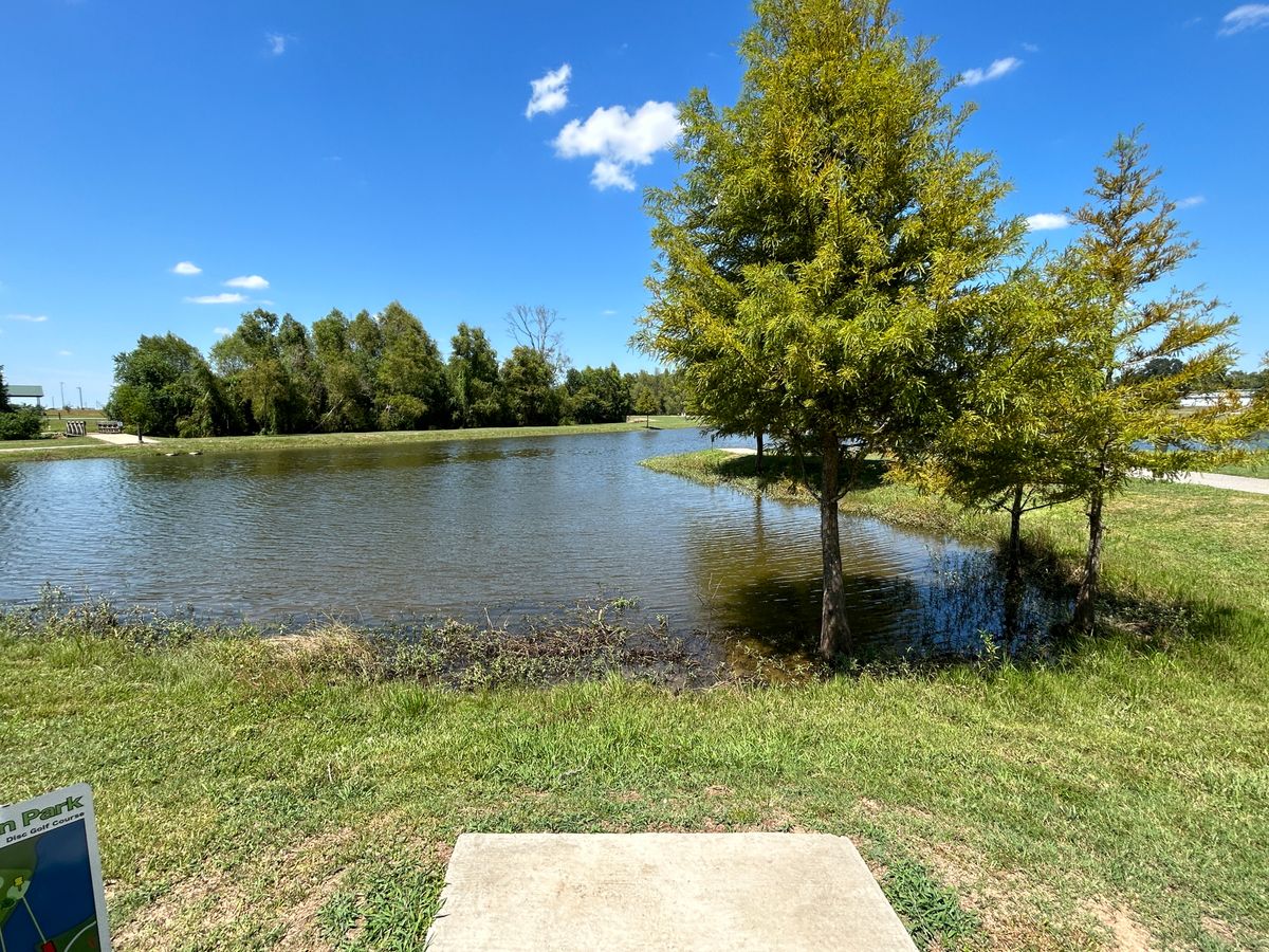 Hole 8 Fairway (White)