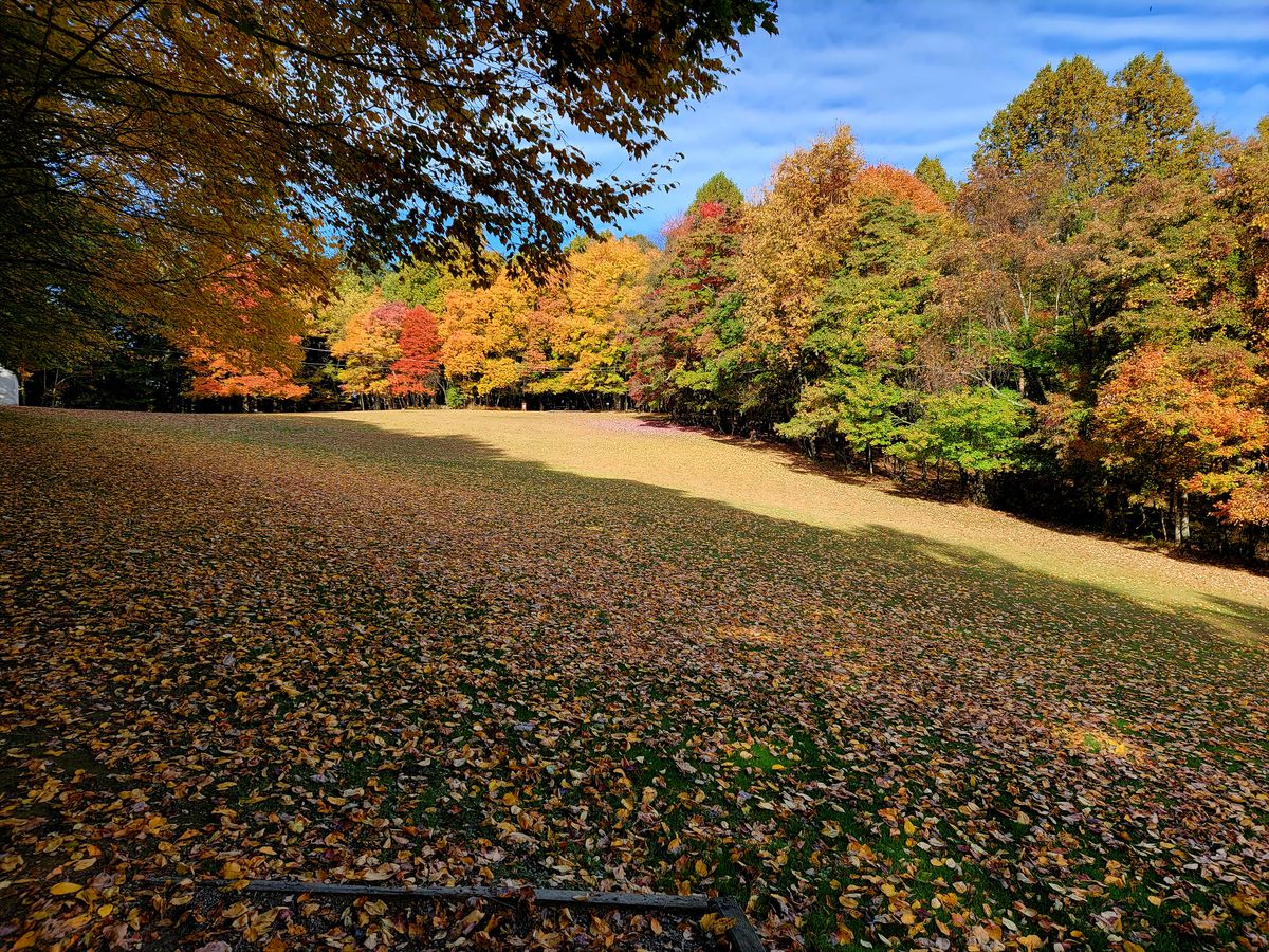White/Short tee shot