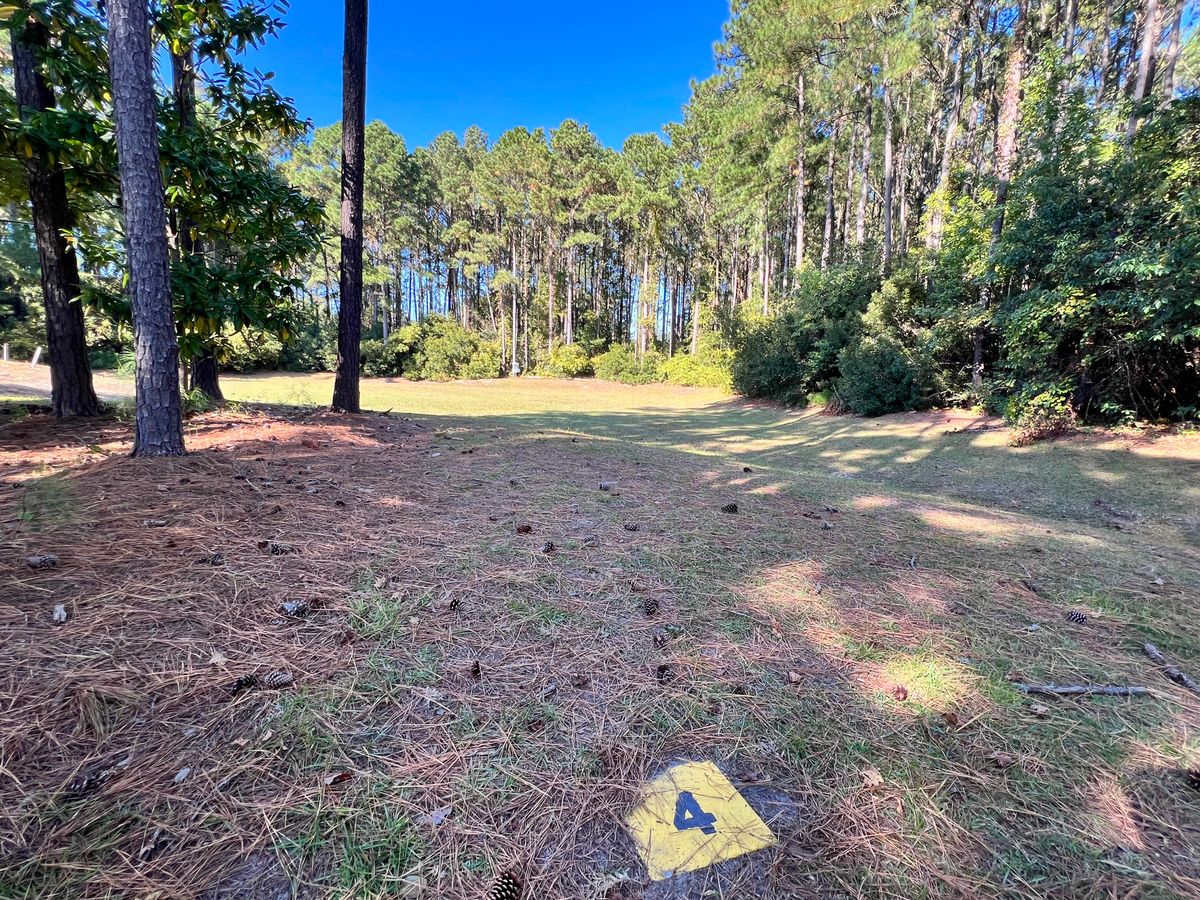 Hole 4