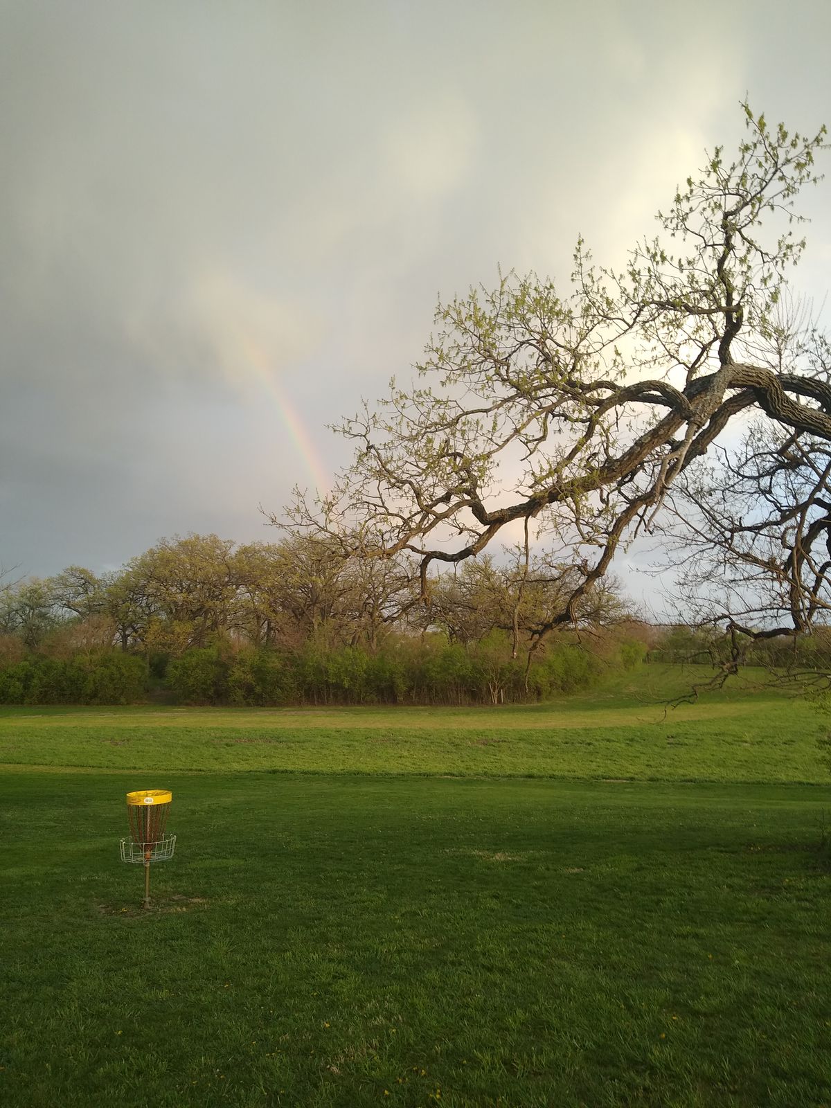 Still not enough rainbow 🌈