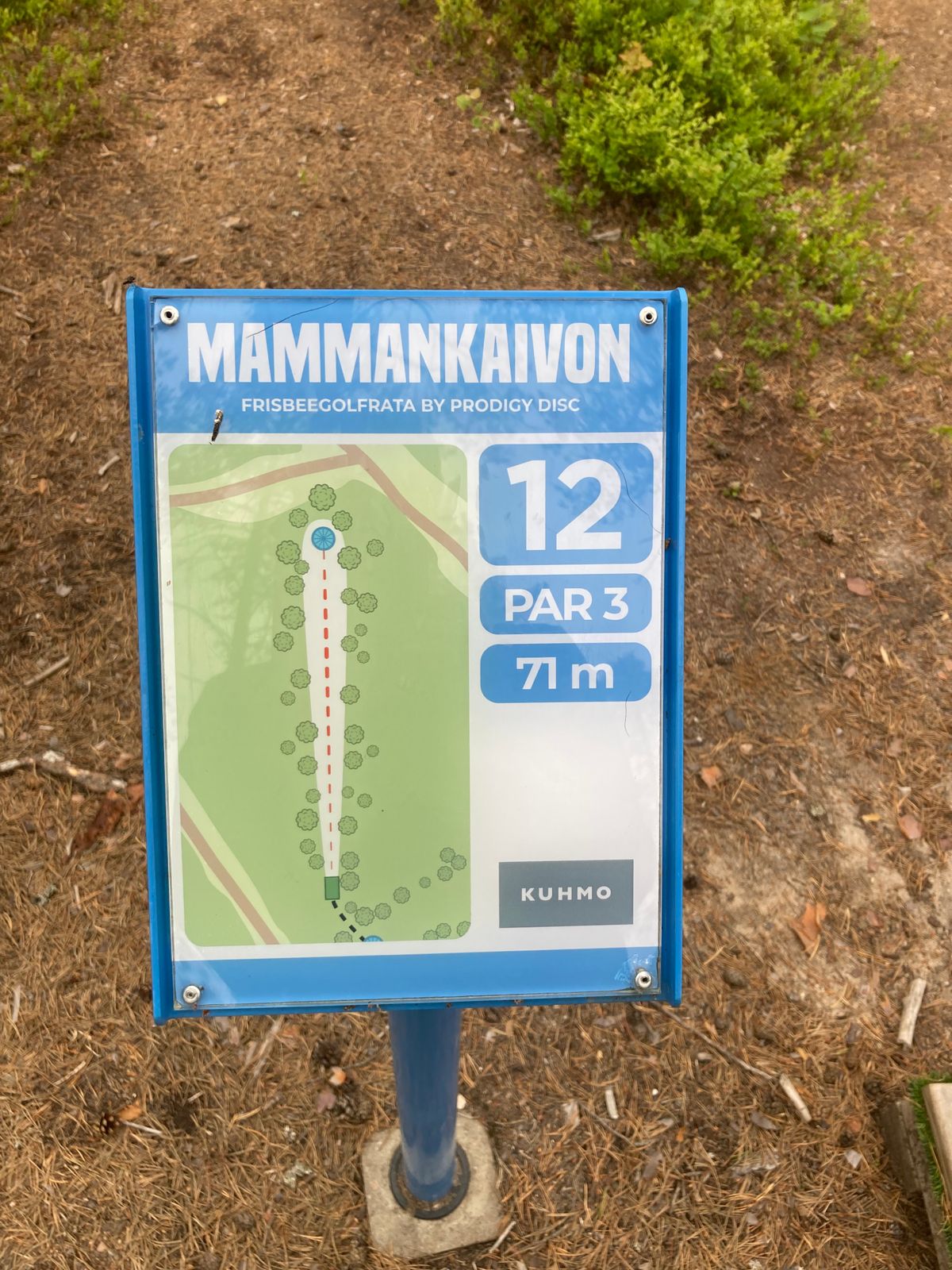 Väyläopaste 12