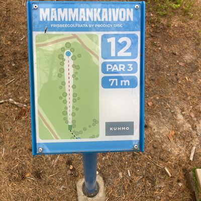 Väyläopaste 12