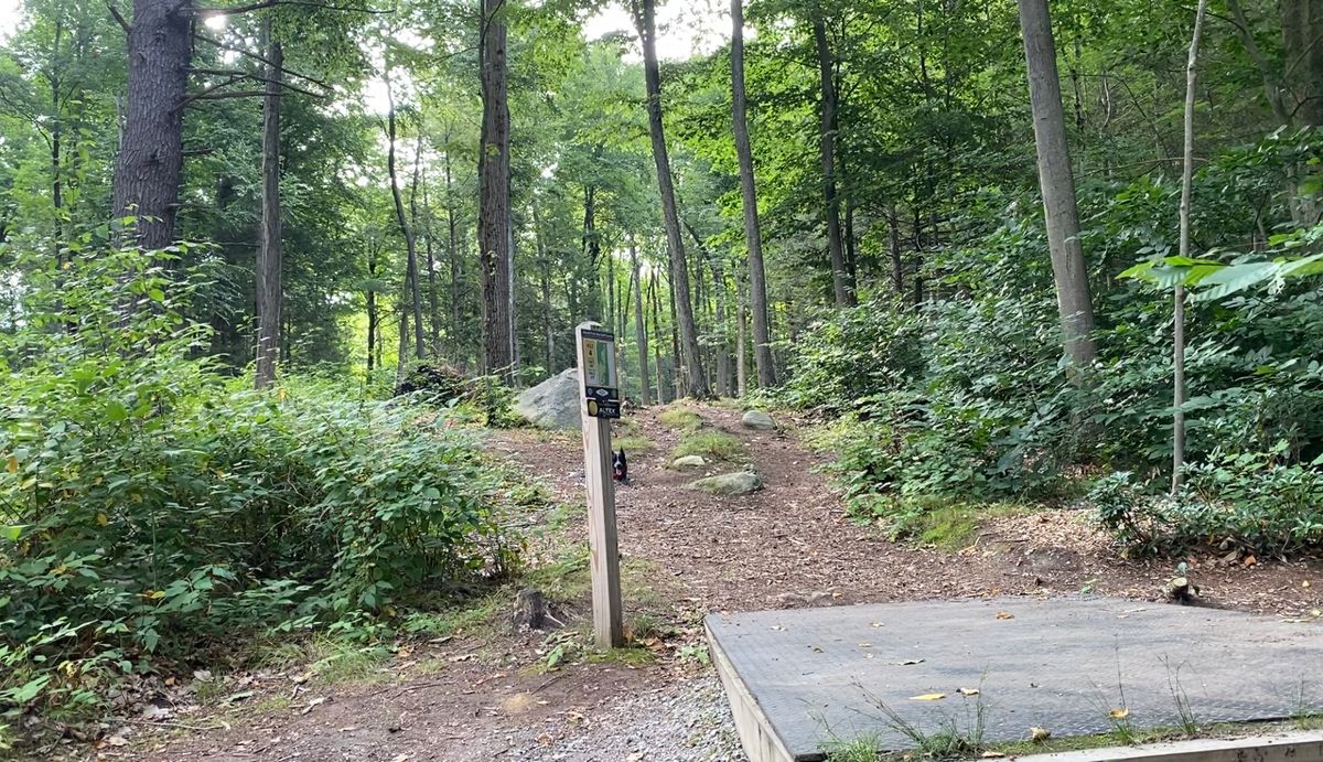 Tee pad 4