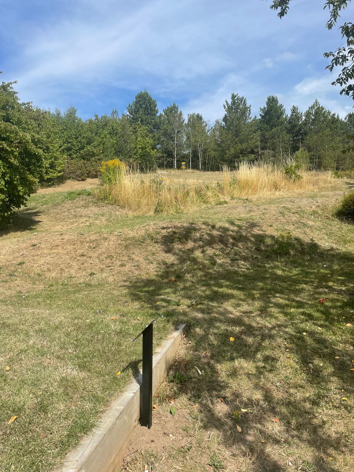 Hole 1 from Tee