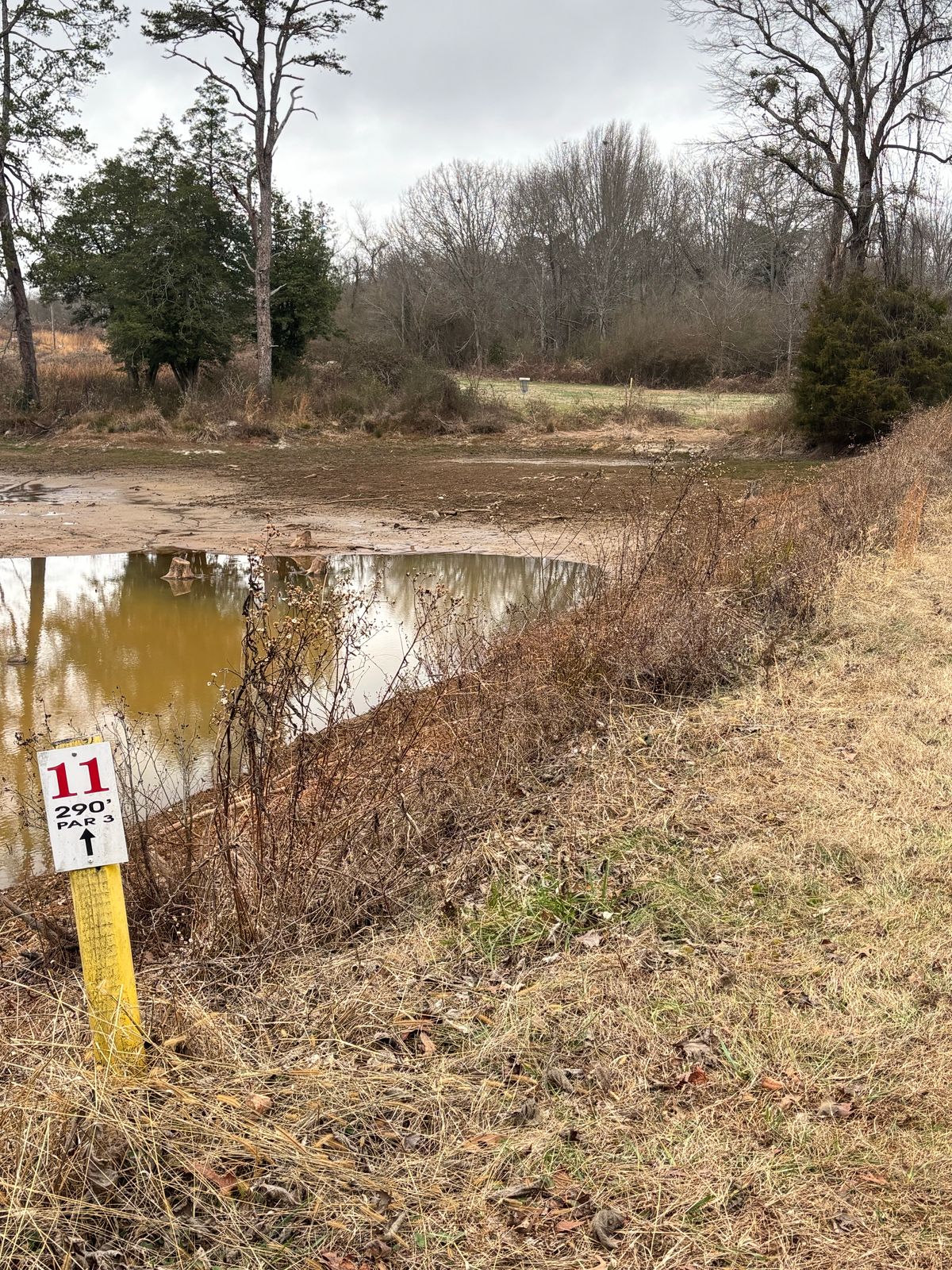 Pond on the left, narrow strip on the right