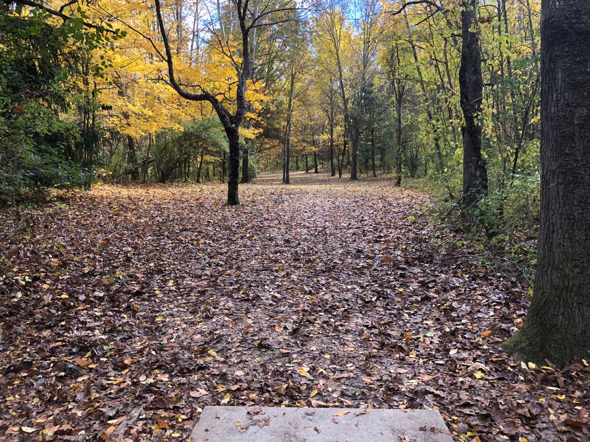 Hole 13 short teepad