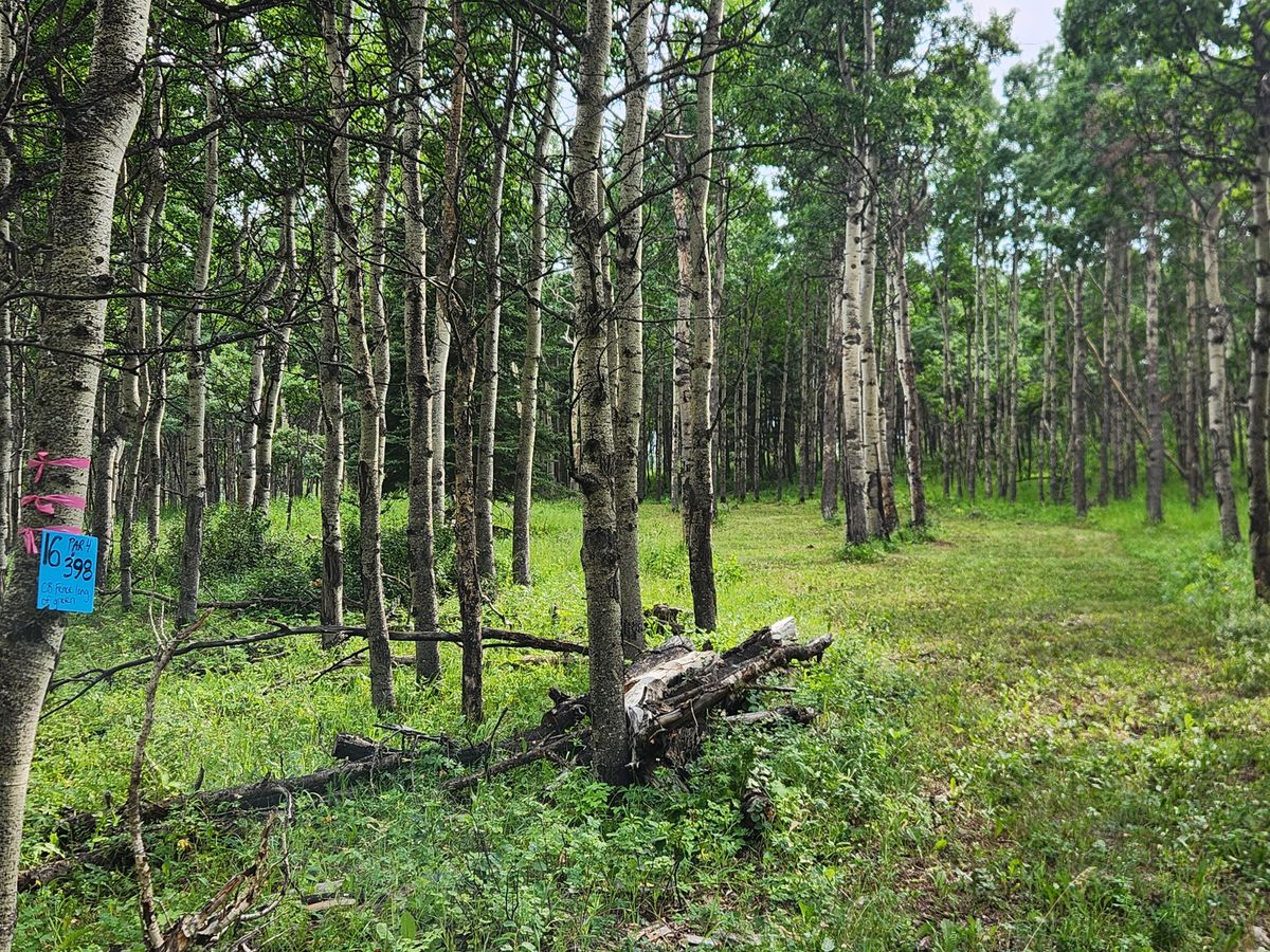 Hole 16