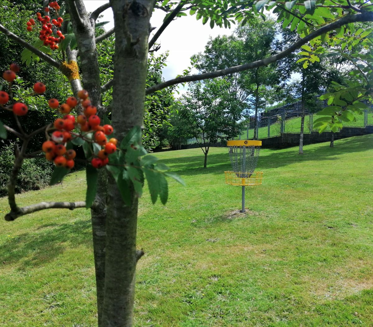 Hole #10 basket zone (near the greenhouse)
