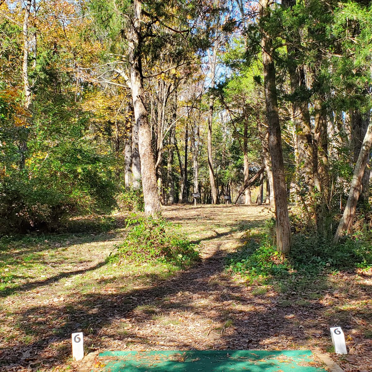 Looking out to 6th basket. Nov 9, 2020.