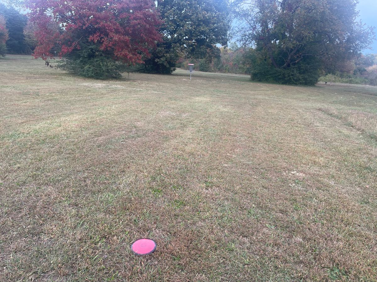Hole 9- short pin- about 80’ short