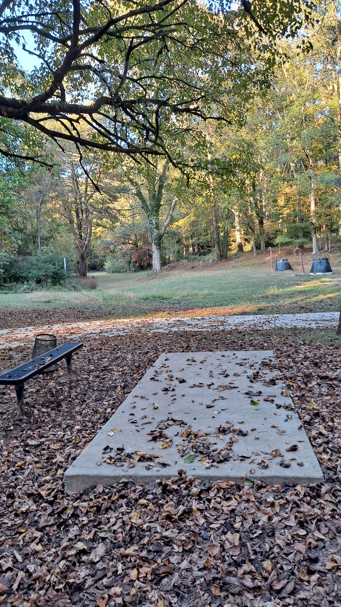 #15 long teepad 800 feet par 5 with Mando dogleg left