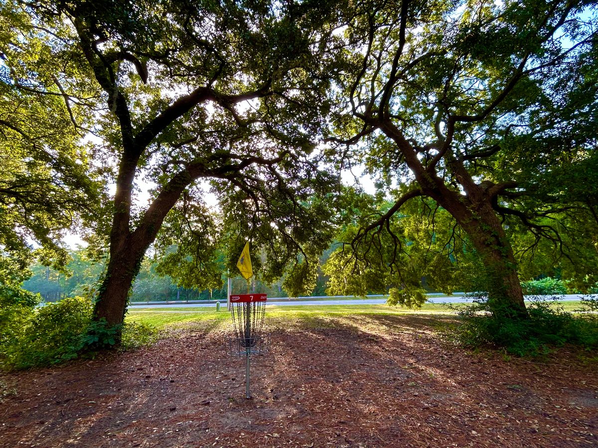 Hole 7 green