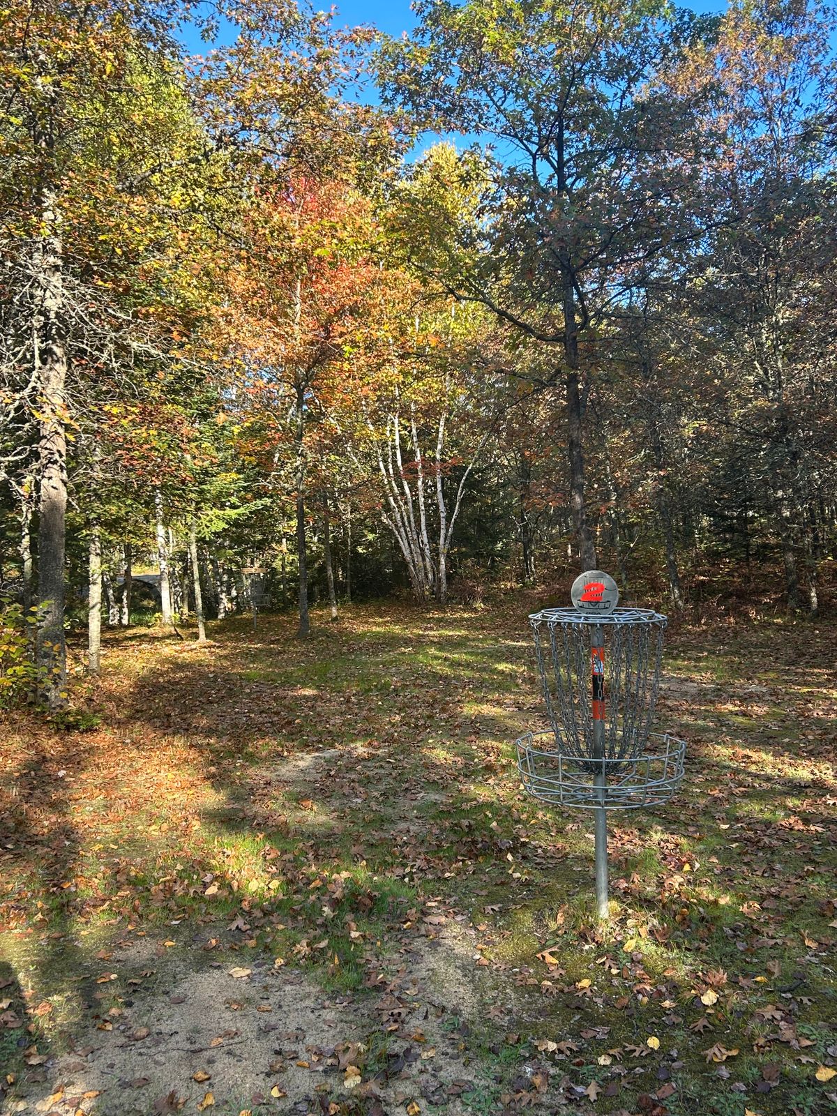 Hole 2 baskets (yellow is tucked back left)