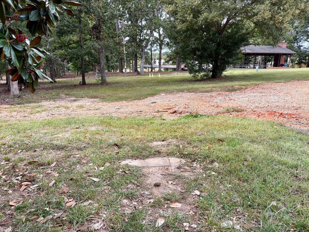 Hole 5 tee