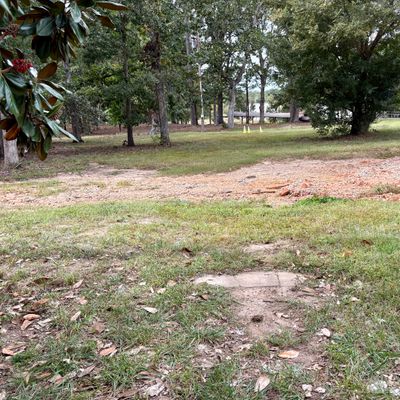 Hole 5 tee