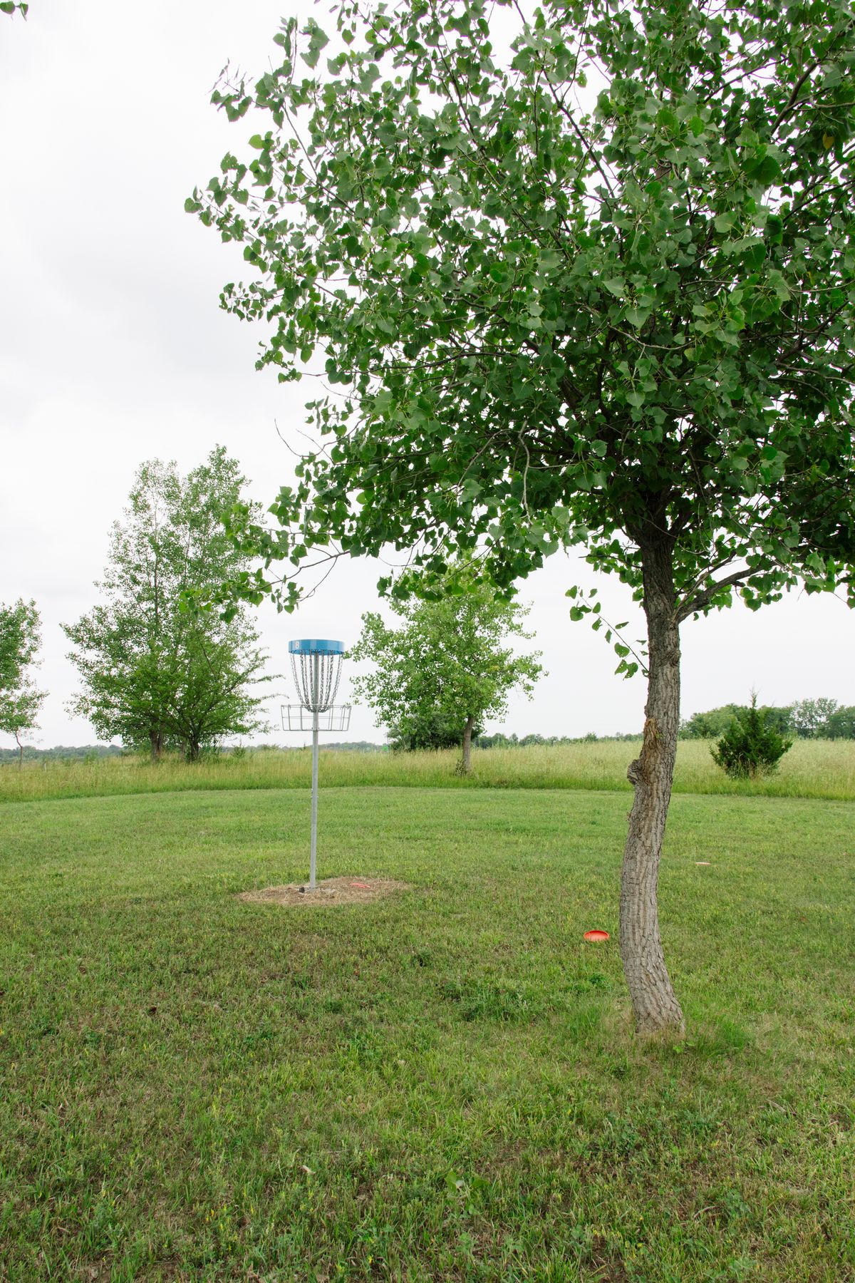 Hole 8