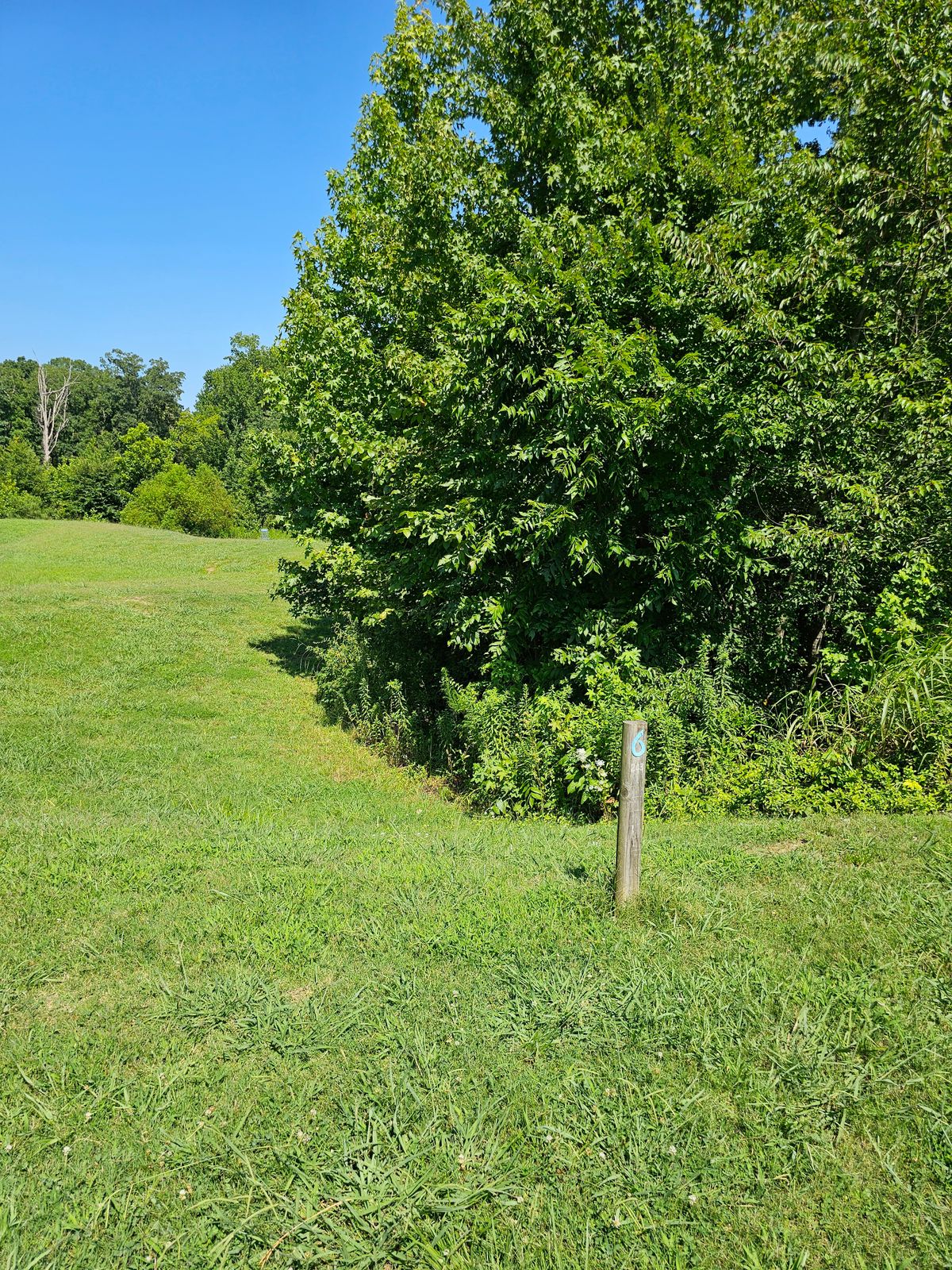 Hole 6