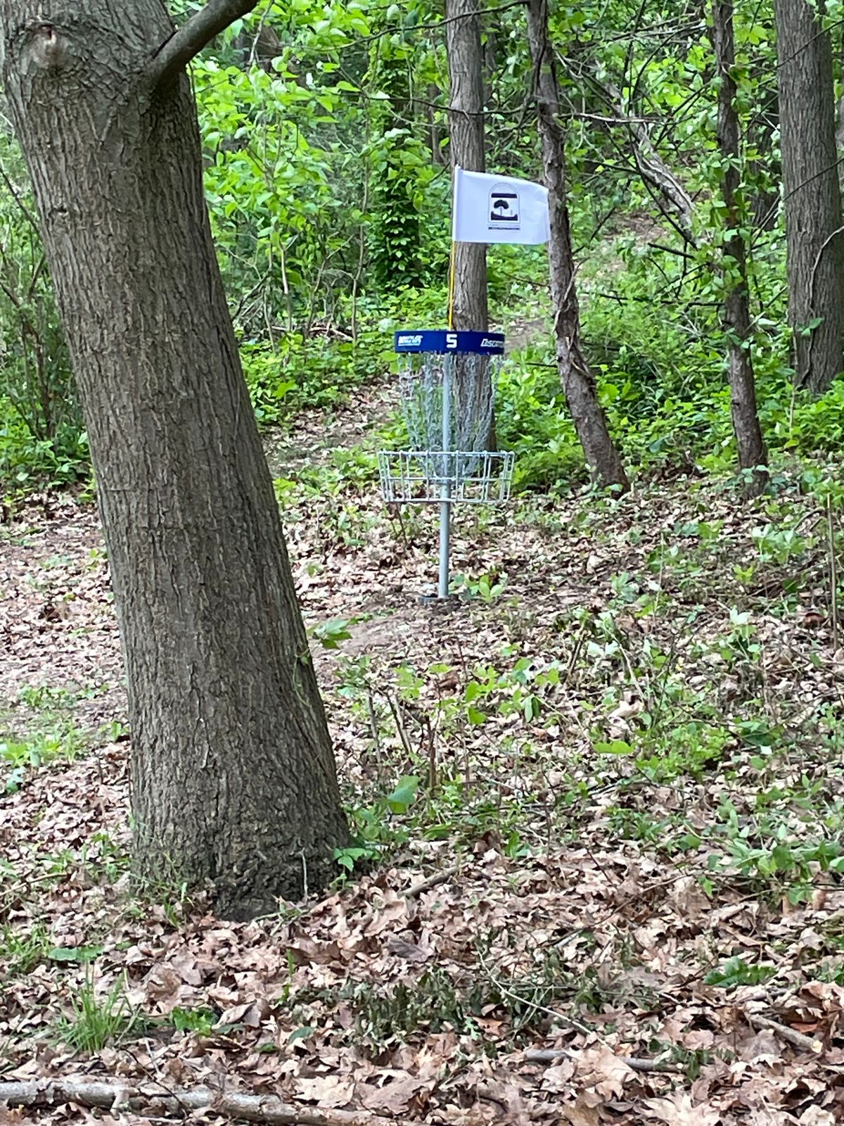 Hole 5 basket