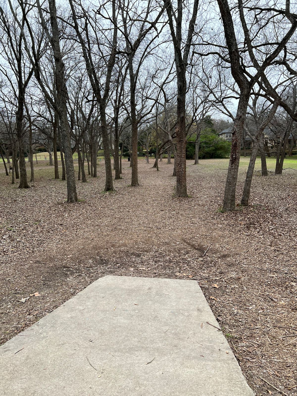 Basket 14 from Tee in Dec 2022