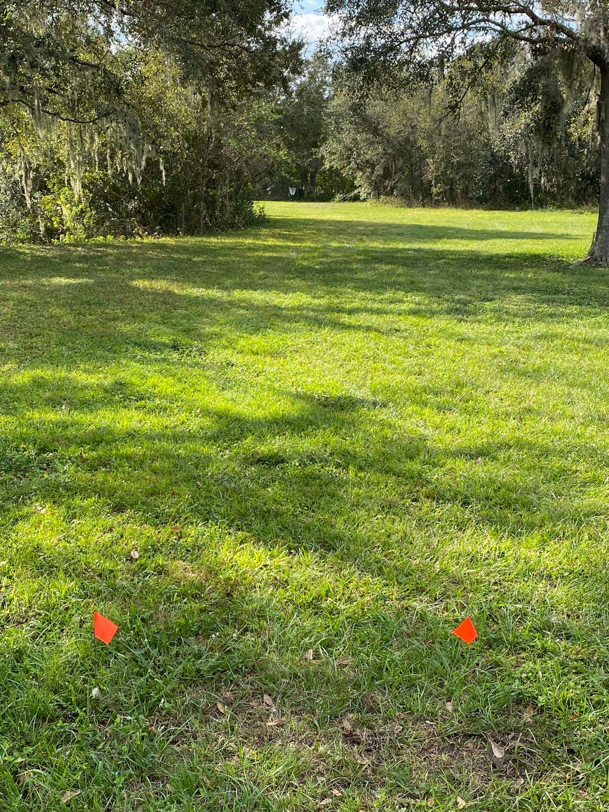 Hole 2 looking toward basket.