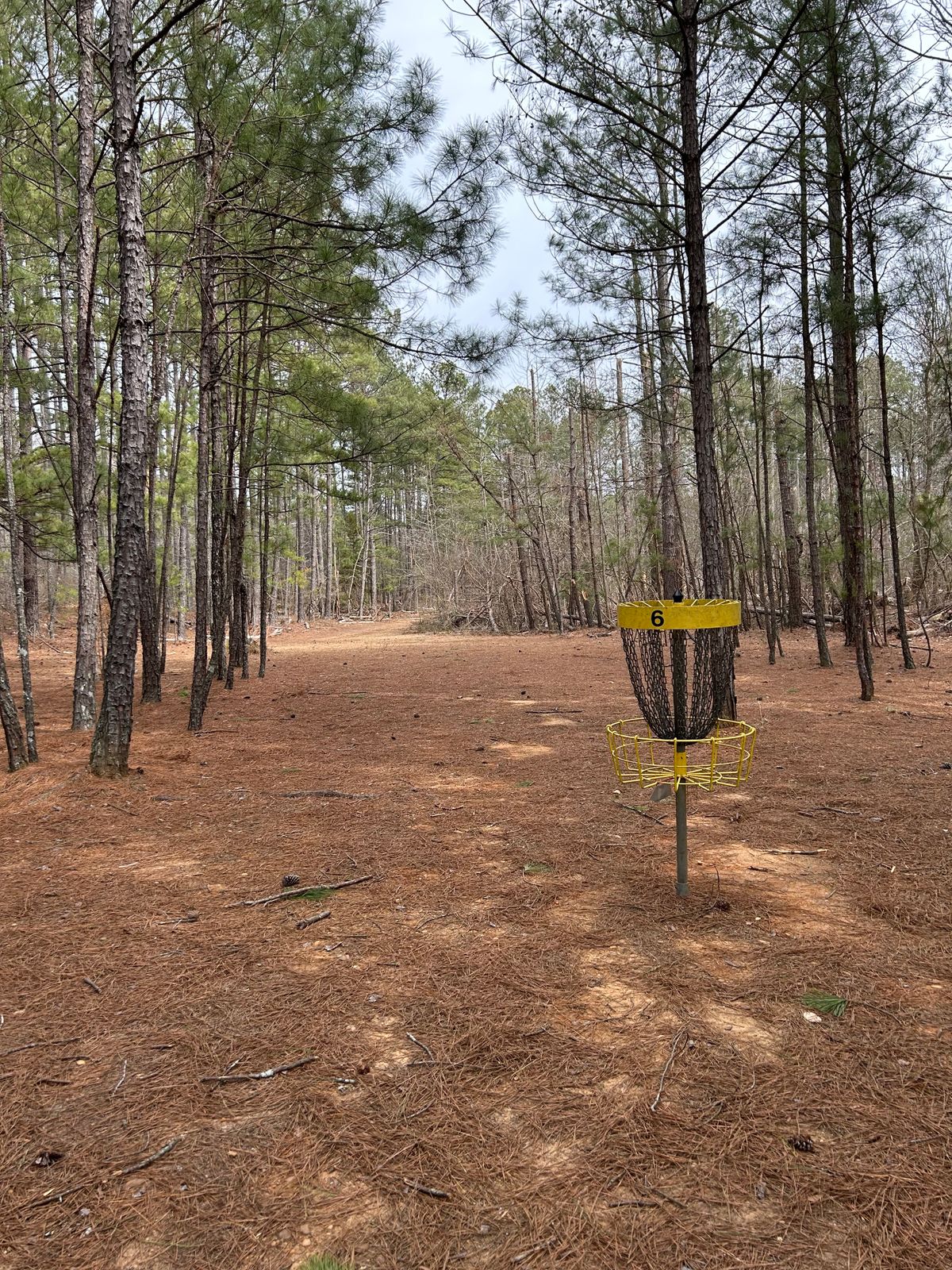 Hole 6. View from behind basket looking at Tee Pad