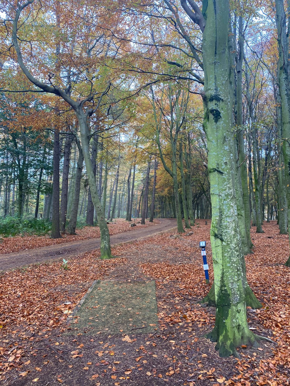 Hole 1 ( 7/11/20 )