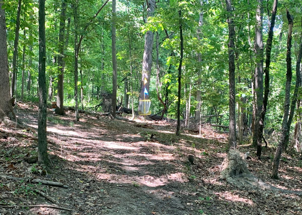 Hole #6 Approach