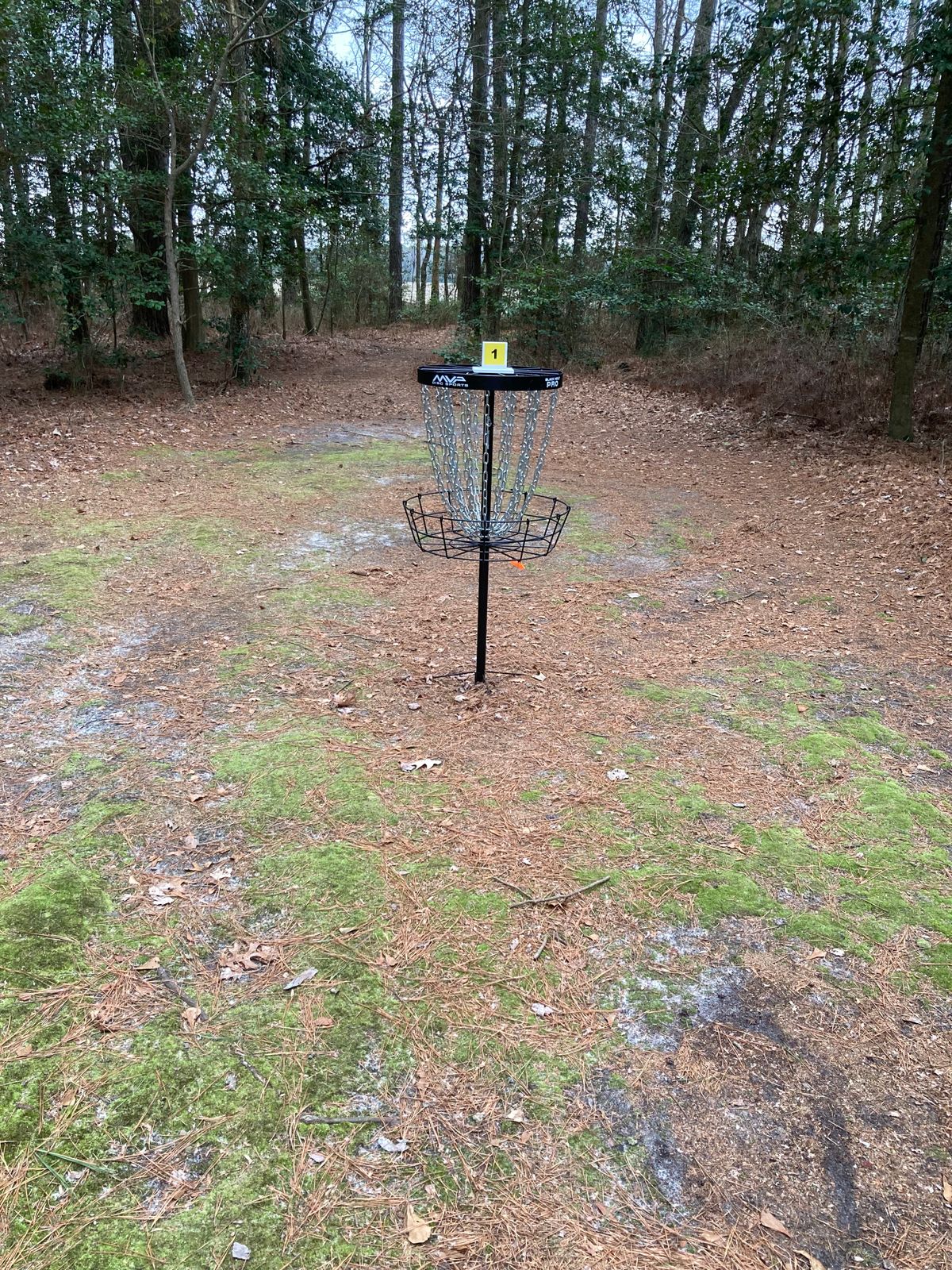 Hole 1 basket 