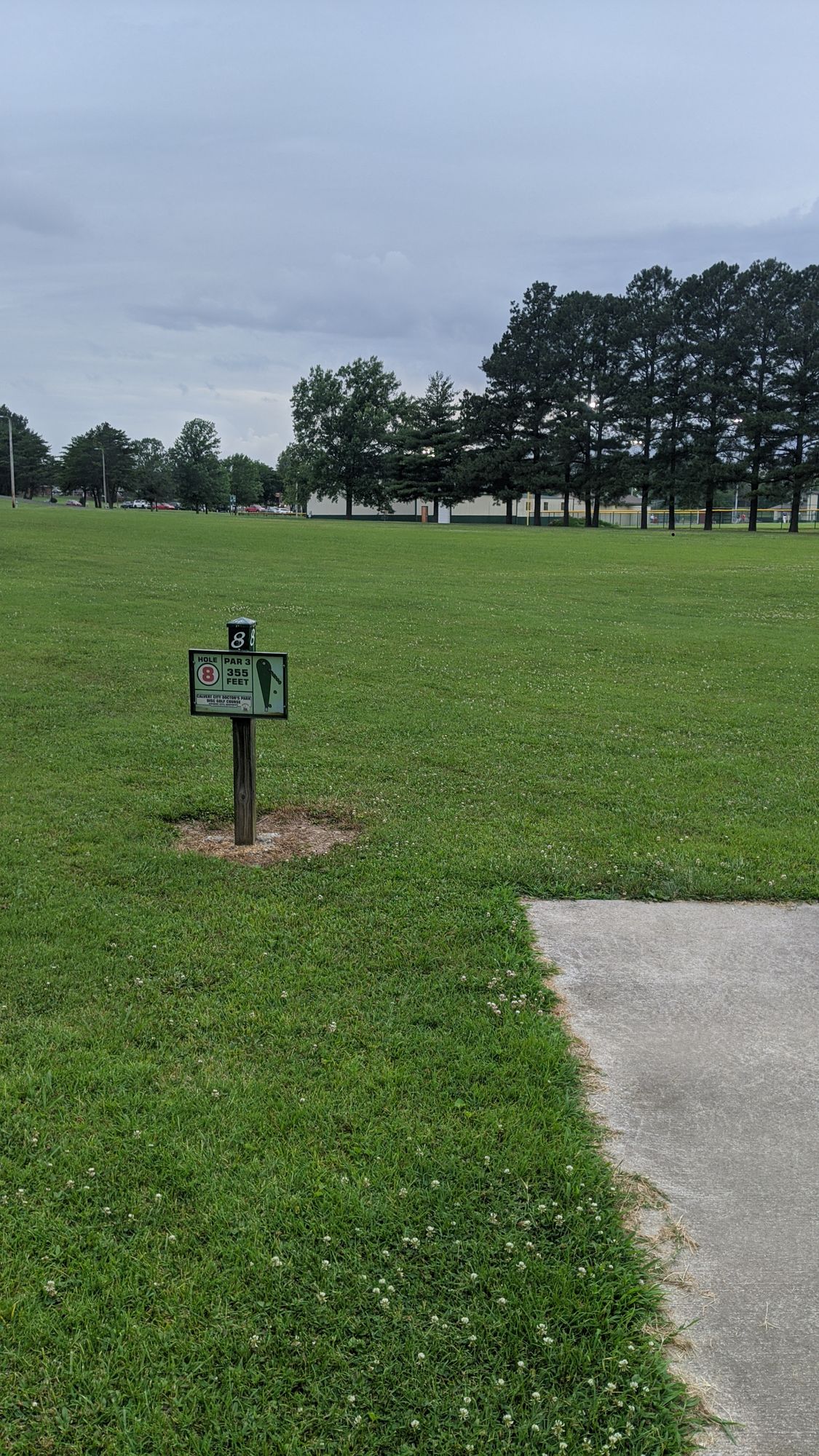 Hole 8