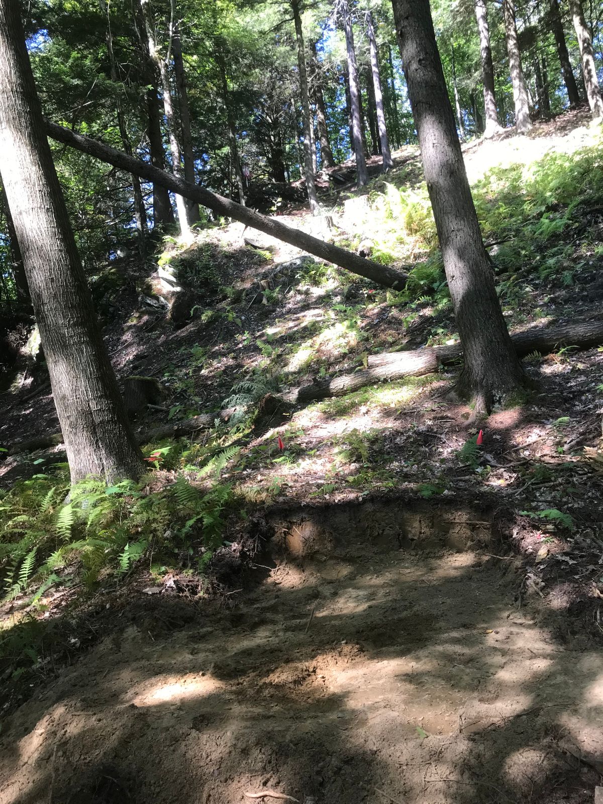 Hole 2, short tees.