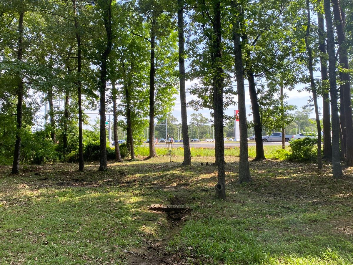 Green on hole 16