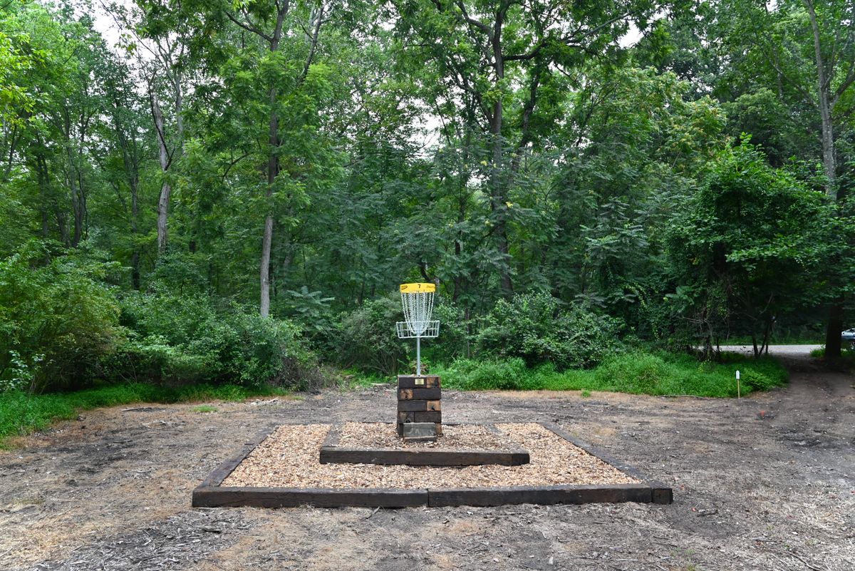 Hole 7's green