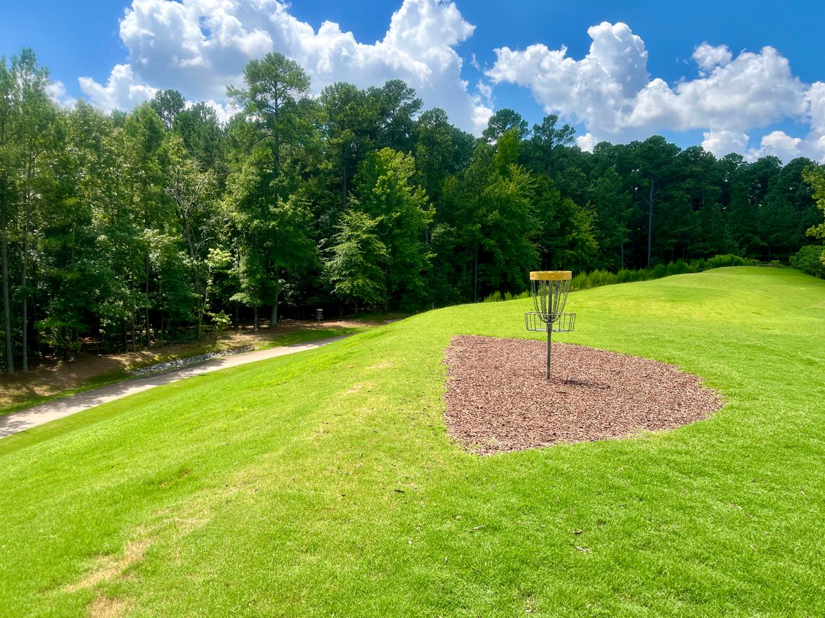 Hole 8 basket